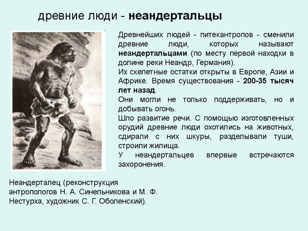 Неандерталец (реконструкция антропологов Н. А. Синельникова и М. Ф. Нестурха, художник С. Г. Оболенский).